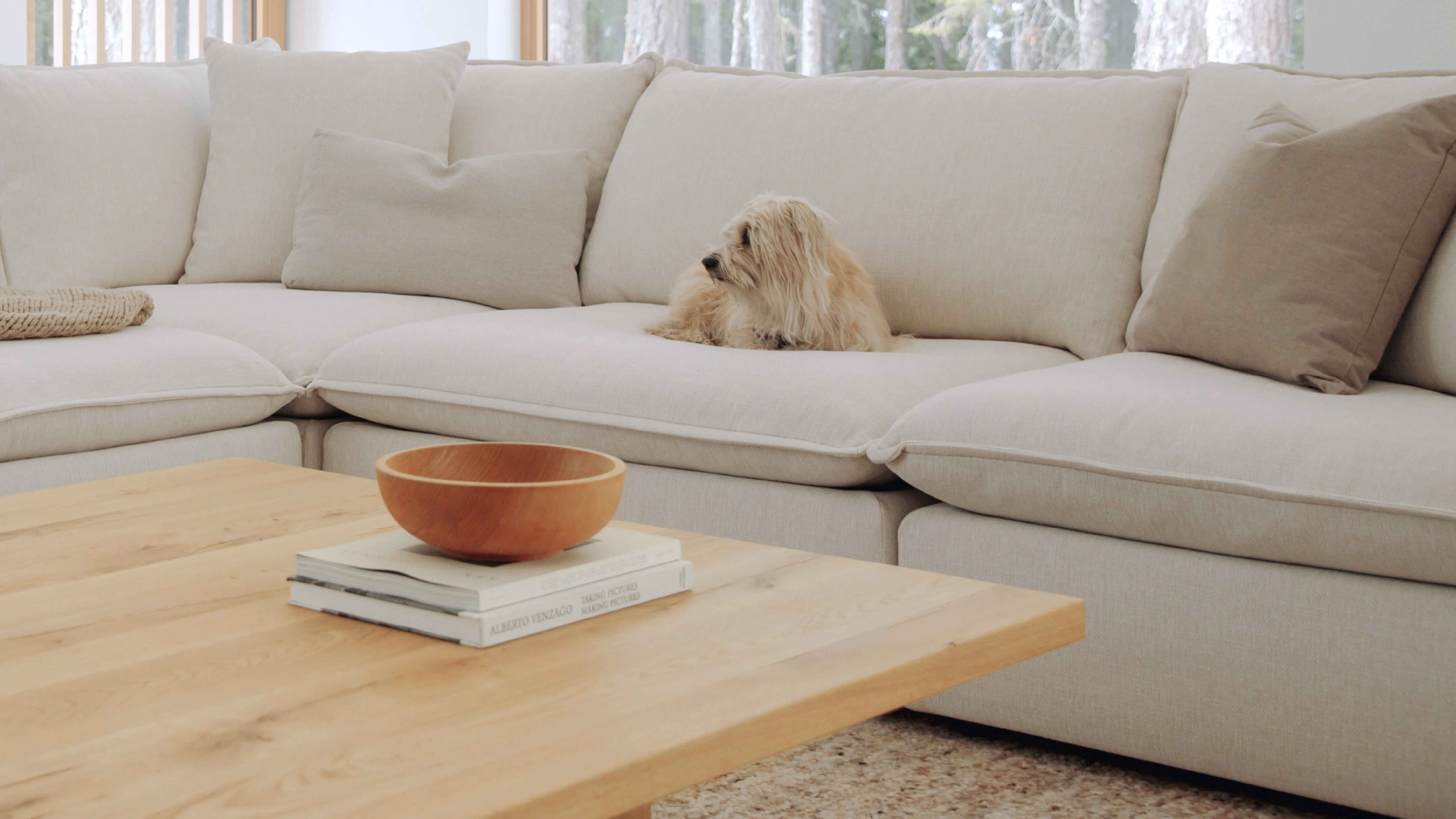 Chill Time 5-Piece Modular Sectional Closed, Birch - Image 6