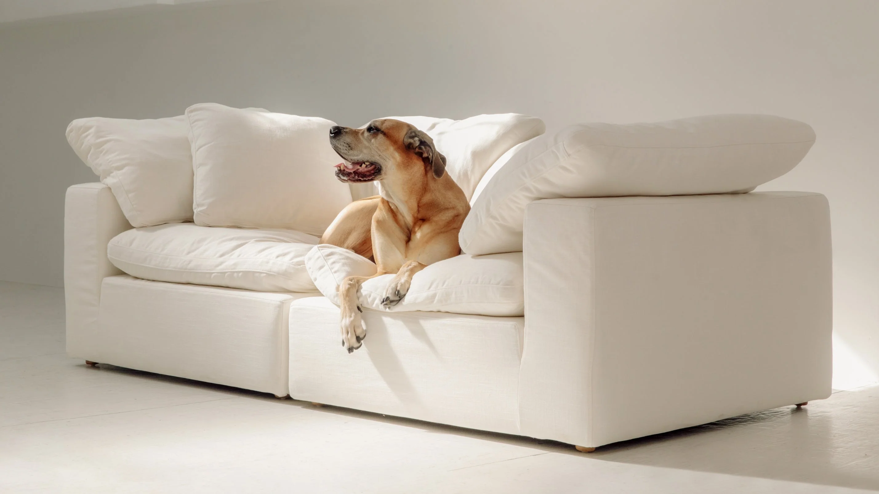 Movie Night™ 2-Piece Modular Sofa, Standard, Cream Linen - Image 6